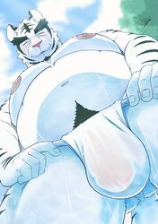 2021 anthro asian_clothing belly bulge closed_eyes clothing east_asian_clothing felid fundoshi fur hi_res humanoid_hands japanese_clothing kemono male mammal moobs navel nipples overweight overweight_anthro overweight_male pantherine solo tiger u5rilla_ktzk underwear white_body white_fur