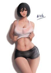 mikasa ackerman from attack on titan by benzilong