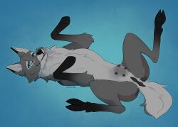 anatomically_inaccurate animal_genitalia animal_vulva belly_rub black_nipples black_nose blue_eyes canid canine canine_ears canine_nose canis cervine_anus cervine_genitalia cervine_vulva claws cloven_hooves cute_fangs darkened_genitalia deer dewclaw dusk_(nightdancer) fangs female female_feral feral full-length_portrait genitals gradient_background grey_body hi_res hooves hybrid looking_at_viewer lying mammal markings multicolored_body nipples on_back paws pink_inner_pussy portrait presenting seductive simple_background solo spots spotted_markings spread_legs spreading tail tail_anus tail_aside teats teeth two_tone_body tzsilviri udders vulva wolf