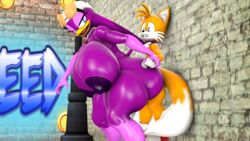 3d avian beak bird blueapple breasts canine doggy_style fox furry goggle hair larger_female orange_body purple_body purple_nipples sex size_difference smaller_male smile sonic_(series) swallow swallow_(bird) tail_feathers tails tattoo wave_the_swallow