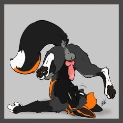 1:1 absurd_res animal_genitalia animal_penis anthro anus ass_up autofellatio balls balls_blush barely_visible_anus barely_visible_genitalia bent_legs blush bodily_fluids body_blush butt canid canine canine_genitalia canine_penis cum cum_on_face cum_on_penis erection eyes_closed fluffy fluffy_balls fox fur genital_fluids genital_markings genitals hi_res kierancrossfox looking_at_viewer looking_pleasured male mammal markings masturbation oral oral_masturbation orange_body paws penile penile_masturbation penis presenting raised_paw raposanaranja sheath simple_background smile smiling_at_viewer smirk smirking_at_viewer solo spread_legs spreading tail tongue whiskers