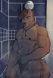 abs anthro athletic balls biceps bigbearcobalt canid canine canis foreskin genitals humanoid_genitalia humanoid_penis male mammal muscular nipples pecs penis shower solo wolf