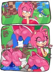amy_rose anthro anthro_on_anthro anthro_penetrated anthro_penetrating anthro_penetrating_anthro meweeze sega sonic_(series) sonic_the_hedgehog sonic_the_hedgehog_(series) tagme