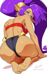 1girls ass barefoot big_ass big_breasts blue_eyes breasts dark-skinned_female dark_skin earrings female female_only harem_outfit harem_pants long_hair medium_breasts pointy_ears ponytail purple_hair revenantart shantae shantae_(character) solo