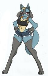 female_lucario lucario