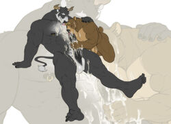 2021 anthro balls beard black_body black_fur bodily_fluids bovid bovine brown_body brown_fur cattle cum cum_on_chest cum_on_leg cum_on_self duo erection facial_hair fur genital_fluids genitals hi_res honey_hunter horn humanoid_genitalia humanoid_penis licking_cum male male/male mammal mr_chocolate_eclaire nesskain nipple_piercing nipples penis piercing plantigrade ursid white_body white_fur