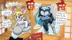 2girls animal_crossing anthro bella_(animal_crossing) black_fur breasts brothel faceless_male human_on_anthro male/female male_human/female_anthro male_on_anthro minus8 multiple_girls nintendo sex squirrel tagme tasha_(animal_crossing) text white_hair