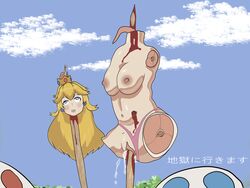 1girls 2boys amputee artist_request blonde_hair breasts corpse death decapitated decapitation dismemberment female female_death female_focus gore guro impaled_head impalement long_hair male mario_(series) multiple_boys nintendo nipples outdoors princess_peach pussy sky toad_(mario)