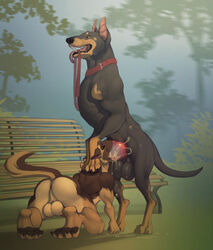 anthro anthro_on_feral ass axtrosis balls big_knot canid canine canis domestic_dog duo fellatio feral genitals hi_res kamelotnoah knot leash leash_in_mouth male male/male mammal object_in_mouth oral outside park_bench penile sex shadow zoophilia