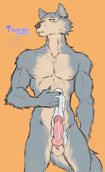 2021 anthro balls beastars canid canine canis claws erection front_view fur genitals grey_body grey_fur knot legoshi_(beastars) male male_only mammal muscular muscular_anthro muscular_male nude penis portrait solo standing thorso_the_vile three-quarter_portrait wolf