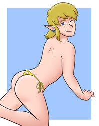 link from breath of the wild by blaziedawn