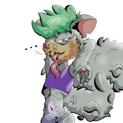 bulge furrybrave_caotic gray_fur gray_hair open_mouth rat