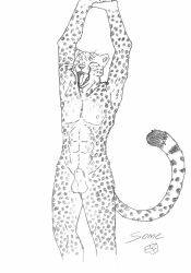 absurd_res animal_genitalia animal_penis anthro balls cheetah felid feline feline_genitalia feline_penis genitals graphite_(artwork) hi_res male mammal nude open_mouth pencil_(artwork) penis raised_arms solo some_(someone) standing stretching traditional_media_(artwork) whiskers yawn