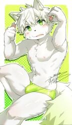 abs absurd_res anthro athletic athletic_male blush bulge canid clothed clothing detailed_bulge fur green_eyes hair hi_res male mammal nipples solo tail underwear underwear_only white_body white_fur zutabo