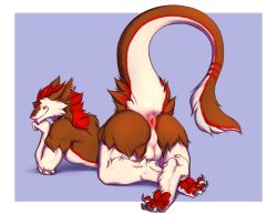 anthro anus ass balls bridge_piercing brown_body brown_fur facial_piercing fur genitals hi_res hodiaa looking_at_viewer looking_back looking_back_at_viewer lying male nose_piercing nude on_front piercing raised_tail red_body red_fur sergal smile solo tail white_body white_fur wulframite