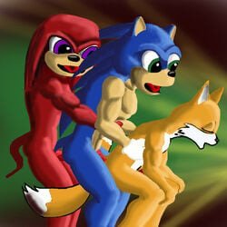 anthro canine cutterfl echidna fox fur hedgehog interspecies knuckles_the_echidna male male_only mammal multiple_males nude open_mouth sex side_view sonic_(series) sonic_the_hedgehog standing tagme tails yaoi