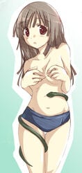 bakemonogatari breasts brown_hair covering covering_breasts monogatari_(series) red_eyes sengoku_nadeko snake topless yumesato_makura