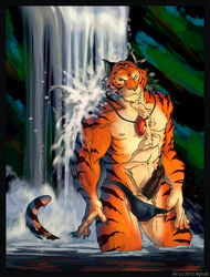 abs alpha0 anthro balls biceps black_fur black_penis erection feline fur furry green_eyes grin jewelry looking_at_viewer male male_only muscles nature necklace nipples orange_fur outside pecs penis smile solo tiger underwear water waterfall white_fur