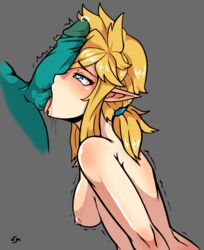 link from breath of the wild by verymediocre