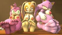 3d 3d_(artwork) 3girls 5_toes amy_rose anus ass blaze_the_cat brown_eyes cream_the_rabbit domestic_cat feet foot_fetish green_eyes hedgehog lying pink_body purple_body pussy rabbit sega sitting sonic_(series) trio twintailssfm yellow_eyes