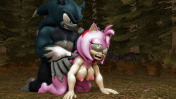 3d 3d_(artwork) blue_fur blue_hair claws doggy_style female fingers gloves green_eyes hair hedgehog male pink_body pink_hair sex sonic_(series) sonic_the_hedgehog sonic_the_werehog sonic_unleashed sonicthebitch straight tan_body werehog white_fur