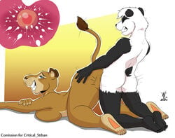 2020 absurd_res anthro bent_over beowulf100 bodily_fluids breasts cum cum_in_pussy cum_inside dreamworks drooling duo egg feet felid female florence_the_lioness genital_fluids giant_panda hi_res impregnation lion madagascar_(series) madagascar_escape_2_africa male male/female mammal ovum pantherine paramount_pictures saliva signature sperm_cell stiban_(character) ursid