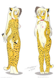 anthro ass belly breasts cheetah clothed clothing collar collar_only duo felid feline felis female genitals hair long_hair mammal model_sheet navel nipples no_underwear nude paws pussy tirashanks_(artist) vanilla_(tirashanks)