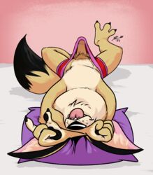 anthro balls bedding blep bulge canid canine claws clothed clothing digital_media_(artwork) eliot_b_luster erection erection_under_clothing fennec fox fur genitals handpaw hi_res humanoid_genitalia humanoid_penis lying male mammal on_back paws penis pillow pubes simple_background smile solo spread_legs spreading tenting tongue tongue_out tuft underwear yellow_body yellow_fur yellowluster