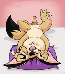 balls bedding blep canid canine claws digital_media_(artwork) eliot_b_luster erection fennec fox fur genitals handpaw hi_res humanoid_genitalia humanoid_penis lying male mammal nude on_back paws penis pillow pubes simple_background smile solo spread_legs spreading tongue tongue_out tuft yellow_body yellow_fur yellowluster