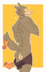 anthro anus backsack balls beastars black_clothing black_underwear blush canid canine canis cervid clothing clothing_pull disembodied_hand duo genitals grey_body hi_res legoshi_(beastars) looking_back louis_(beastars) male male/male male_only mammal muscular raised_tail scar simple_background spicedpopsicle underwear underwear_down underwear_pull undressing wolf