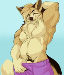 anthro biceps blanford's_fox canid canine chest_tuft clothed clothing fox genitals hi_res looking_at_viewer male male_only mammal osiris_henschel penis penis_base pubes purple_eyes seibear smile solo topless triceps tuft