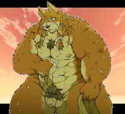 2021 anthro balls brown_body brown_fur canid canine fur genitals hi_res kemono male mammal musclegut outside penis pubes scar solo suishou0602 wet