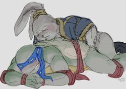 blush duo fetch lagomorph leonardo_(tmnt) leporid male male/male mammal miyamoto_usagi rabbit reptile ruran scalie sex simple_background teenage_mutant_ninja_turtles turtle usagi_yojimbo white_background