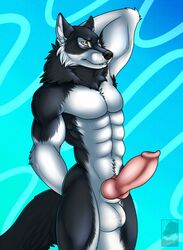 2020 abs animal_genitalia animal_penis anthro balls big_balls big_penis canid canine canine_penis canis erection genitals hi_res male mammal muscular muscular_anthro muscular_male pecs penis solo tigran_the_werewolf wolf yellow_eyes