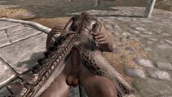 argonian argonian_female human_on_anthro interspecies lizard_humanoid male_human/female_anthro skyrim the_elder_scrolls