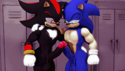 3d absurd_res balls digital_media_(artwork) duo erection frottage genitals hi_res locker_room male male/male muscular muscular_male penis sex shadow_the_hedgehog sonic_(series) sonic_the_hedgehog sonicthebitch source_filmmaker swordfight