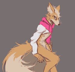 anthro barely_visible_genitalia bent_leg big_tail black_nose bottomless bottomless_male canid canine claws clothed clothing drawstring facial_markings fluffy fox fox_mccloud fur furry furry_only genitals grey_background head_markings hoodie lawyerdog leg_tuft looking_aside male male_only mammal markings navel neck_tuft nintendo nipples penis pink_clothing pink_hoodie pink_topwear simple_background sitting skimpy snout solo star_fox tail tan_body tan_fur topwear tuft video_games whiskers white_body white_clothing white_fur white_hoodie white_topwear