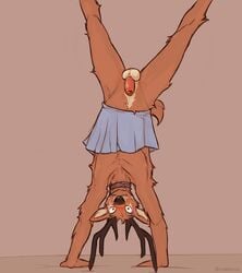 anthro antlers balls black_nose blush bottomwear brown_body brown_fur clothed clothing clothing_lift collar crossdressing dilated_pupils embarrassed facial_markings flaccid foreskin fur genitals handstand head_markings horn lawyerdog looking_at_viewer male male_only markings panko_(lawyerdog) penis pose raised_bottomwear raised_clothing raised_skirt scut_tail simple_background skirt skirt_lift solo topless topless_male uncut upside-down wardrobe_malfunction white_body white_fur wide_eyed