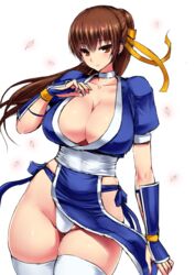 breasts brown_eyes brown_hair choker cleavage dead_or_alive female highleg highleg_panties ishimiso_(ishimura) kasumi_(doa) large_breasts long_hair looking_at_viewer ninja panties pelvic_curtain ponytail red_eyes solo thighhighs underwear white_panties