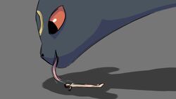 Pokemon (Species) Rule 34 Image