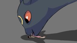 Pokemon (Species) Rule 34 Image