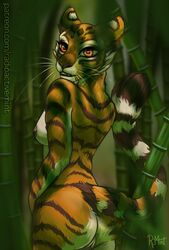 anthro ass dreamworks felid female female_only genitals hunting kung_fu_panda looking_at_viewer looking_back mammal master_tigress nipples orange_body orange_eyes pantherine pussy radioactivemint rear_view solo stripes surprise tiger