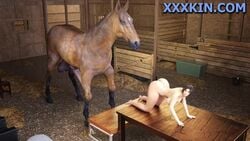 3d animated bestiality completely_nude female horse horse_penis horsecock juan lara_croft lara_croft_(survivor) mp4 no_sound tomb_raider video xxxkin xxxkin.com zoophilia