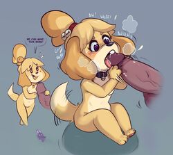 2021 animal_crossing anthro blush breasts canid canine canis collar collar_only dialogue disembodied_penis domestic_dog duo edit edited english_text fellatio female female_focus genitals hi_res humanoid_genitalia humanoid_penis isabelle_(animal_crossing) male male/female mammal multi_nipple newd nintendo nipples nude oral penile penis sex shih_tzu size_difference solo_focus text toy_dog video_games