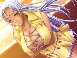 1girls 2021 amber_eyes arms_crossed arms_crossed_under_breasts beach breasts carina_ranvijay cleavage dark-skinned_female dark_skin dressed gakuen_tengoku game_cg huge_breasts indian indian_female long_hair no_pants outside solo sunset tagme white_hair yellow_eyes