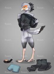 absurd_res accipitriform ass avian beak belt bird black_body black_feathers boxers_(clothing) clothing discarded_clothing distracting_watermark feathers fiverr grin hi_res looking_at_viewer male secretary_bird sheepwhatever simple_background smile smirk solo sporkier suit underwear undressing watermark