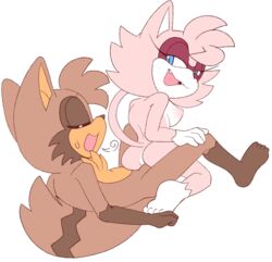 anthro anthro_on_anthro brown_body domestic_cat duo fan_character feet female male male/female pink_body raccoon_dog radix reverse_cowgirl_position sensh_the_cat senshion sex sonic_(series) sonic_the_hedgehog_(series) tanuki tuft white_body