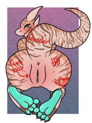 4_toes absurd_res alluringcryptid anthro anus ass big_butt blush claws clitoris degradation digital_media_(artwork) english_text feet female genitals hi_res horn kobold lizard looking_at_viewer looking_back looking_back_at_viewer pawpads paws presenting presenting_hindquarters pussy pussy_blush raised_tail rear_view reptile scales scalie simple_background smile solo stretch_(alluringcryptid) striped_body striped_tail stripes teal_eyes teal_pawpads teal_pussy text toe_claws toes writing_on_body