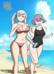 2girls beach bikini black_clover dorothy_unsworth excalibur_overdrive female female_only multiple_girls noelle_silva