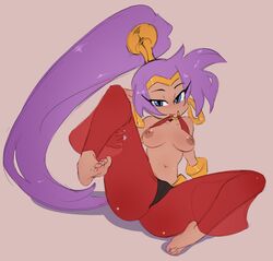 1girls bard-bot bedroom_eyes big_areola brown_areola brown_nipples color dark_areola dark_nipples erect_nipples leg_lift long_hair nipples pierced_nipples pointy_ears ponytail purple_hair shantae shantae_(character) simple_background sketch smooth_skin solo topless wayforward